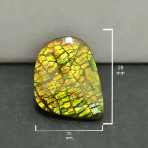 Ammolite Free-Form Cabochon 26mm - 1 piece