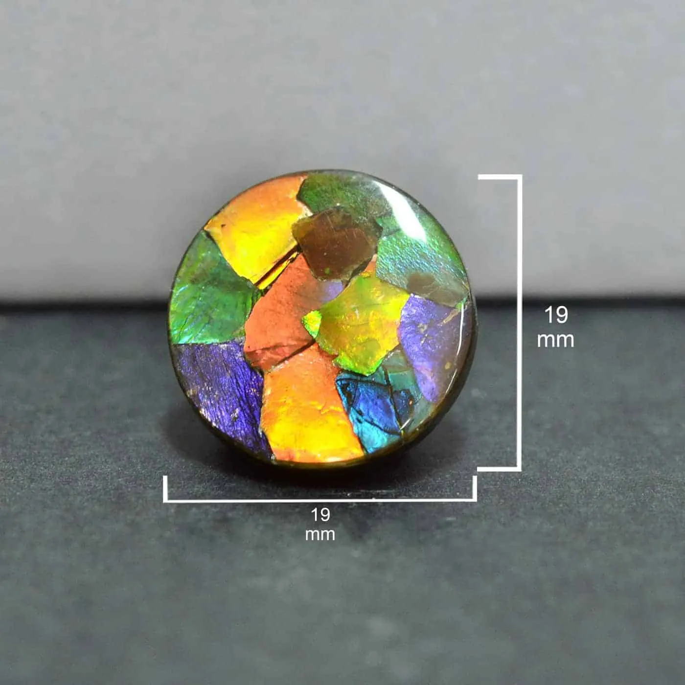 Ammolite Round Cabochon 19mm - 1 piece