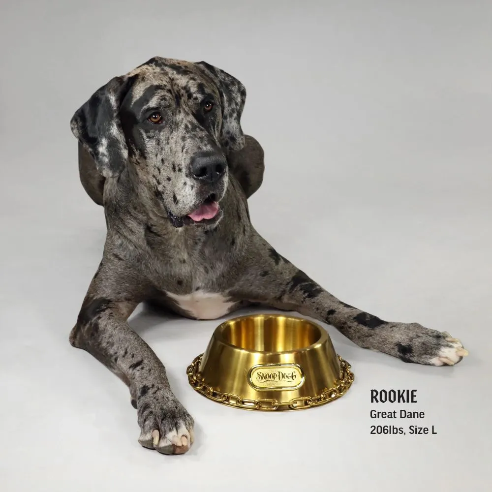 Deluxe Gold Pet Bowl - Off the Chain