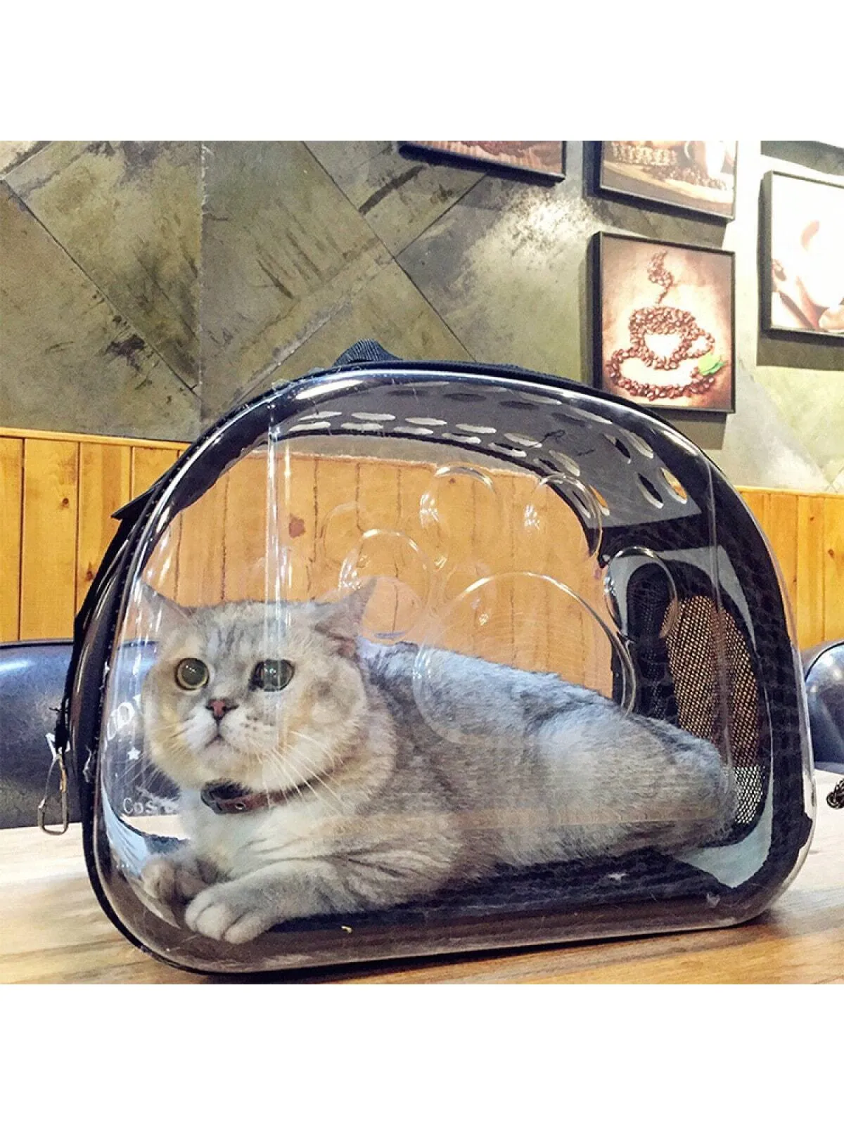 Diagonal Pet Bag Breathable Portable Pet Bag Cat Backpack Folding Transparent Cat Bag