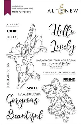 Hello Gorgeous Stamp Set - RETIRING