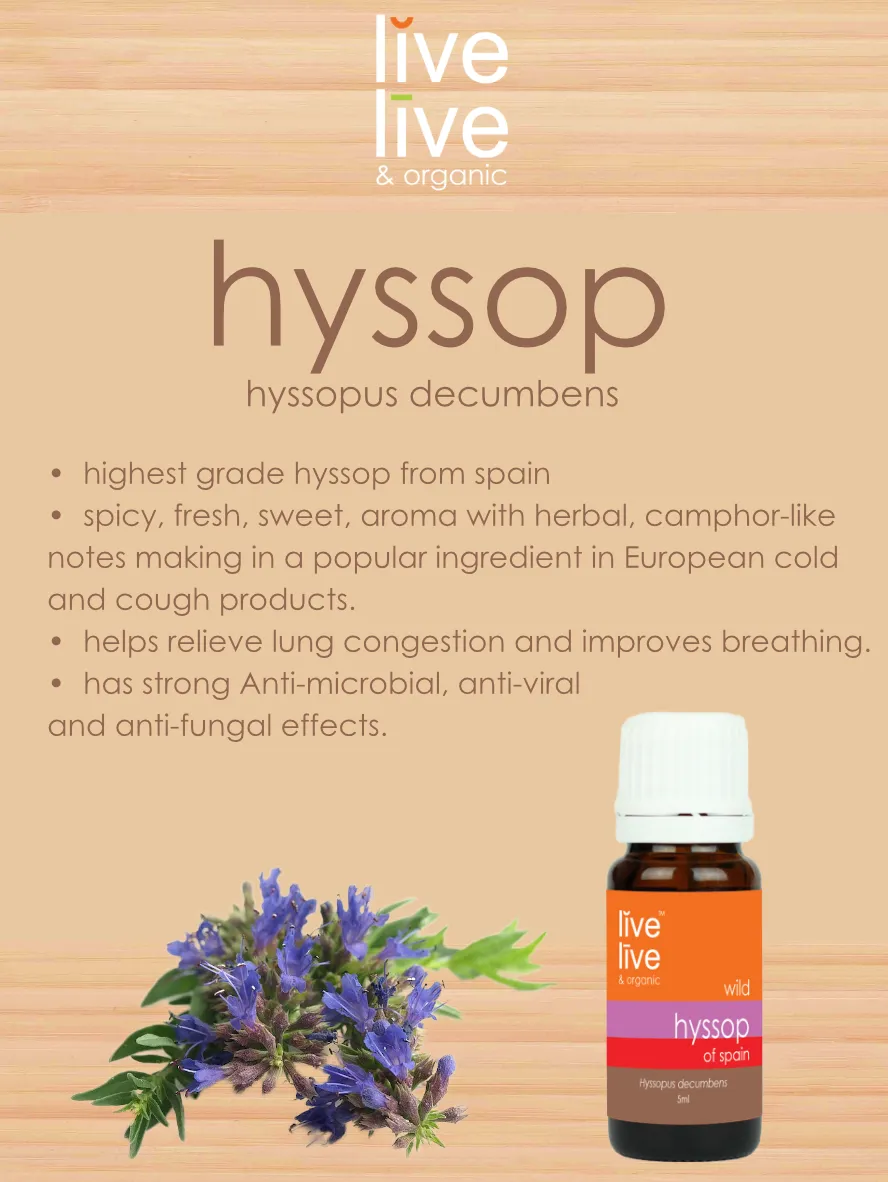 hyssop of spain essential oil, hyssopus decumbens, 5ml, live live & organic