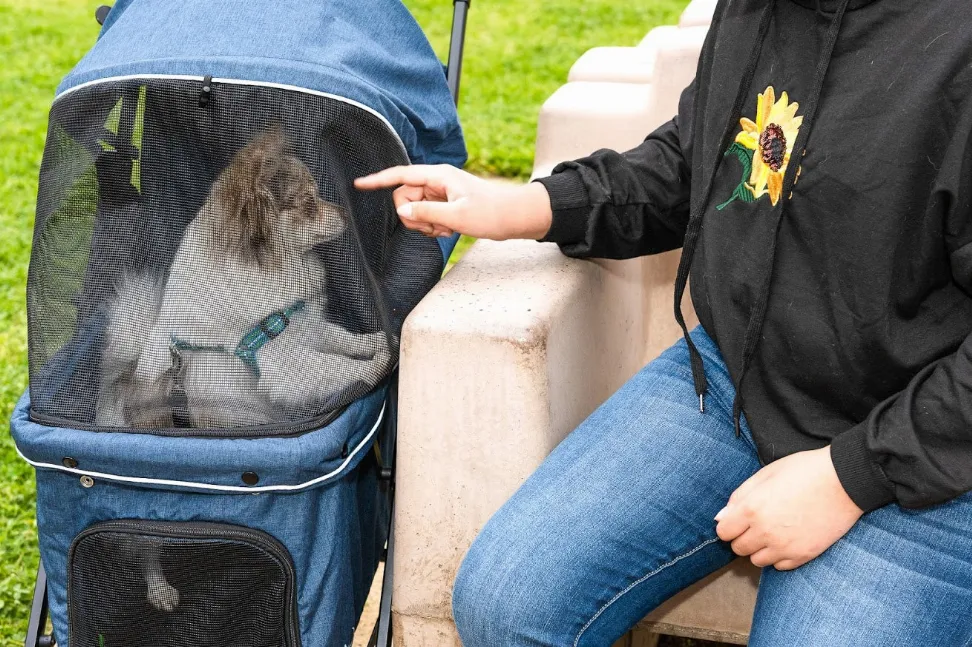 Malibu Pet Stroller