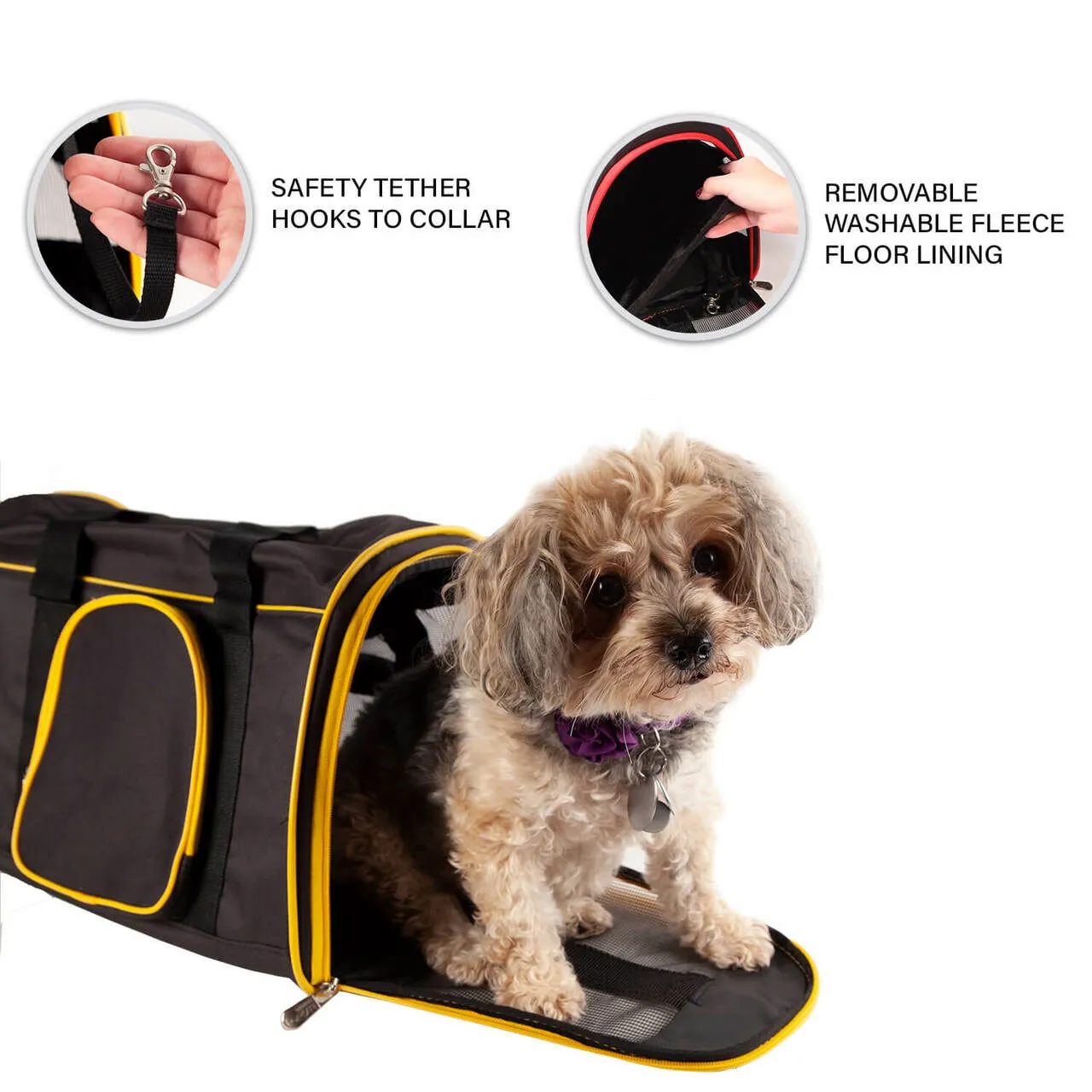 Miami 16" Premium Pet Carrier