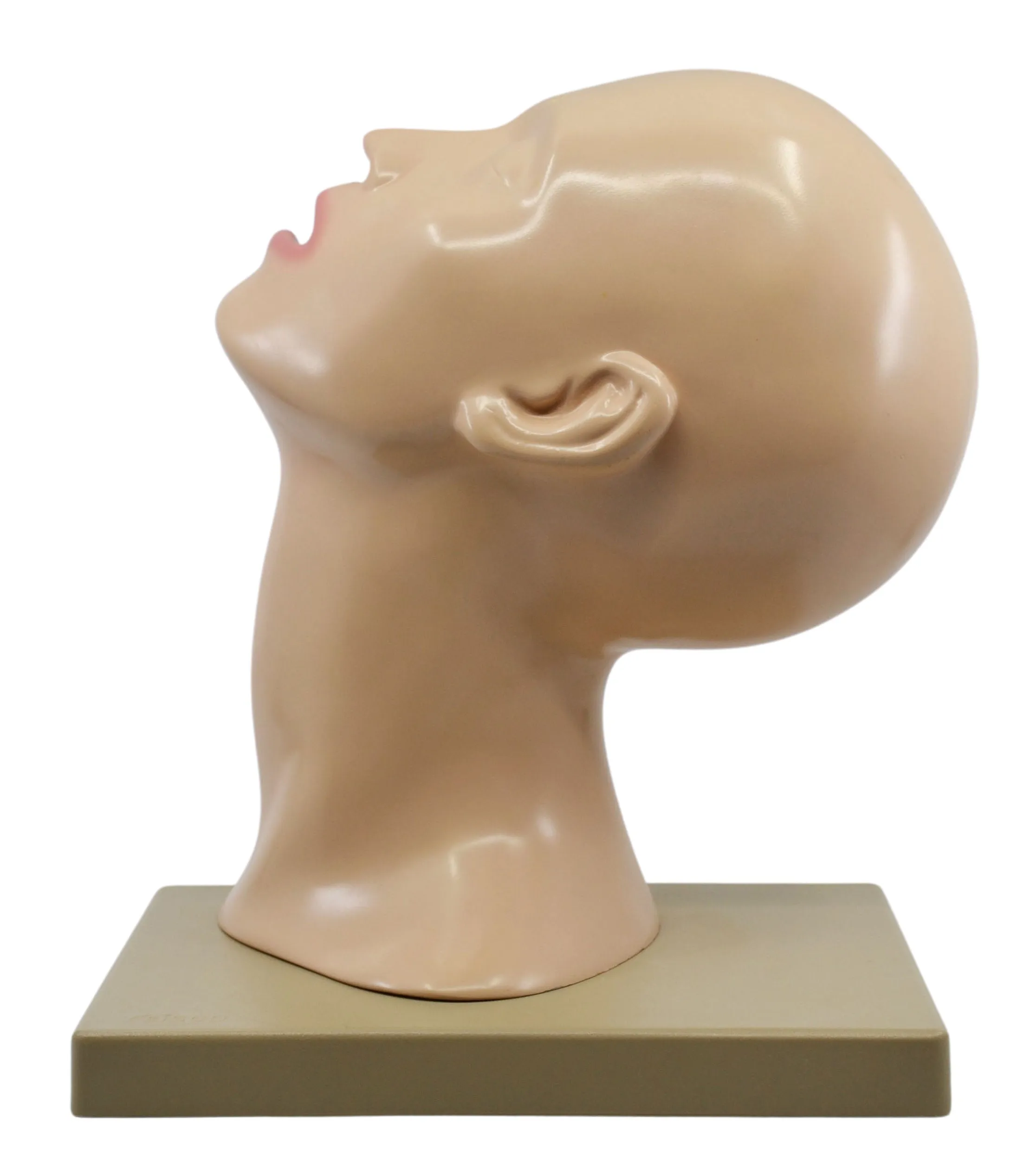 Nasal Swab Training Model, 12 Inch - For Demonstration of Nasopharyngeal Testing - Made of PVC - Eisco Labs