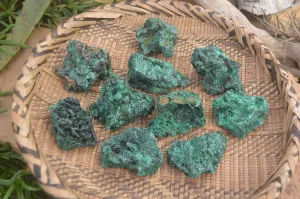 Natural Silky Malachite Specimens x 12 From Kasompe, Congo