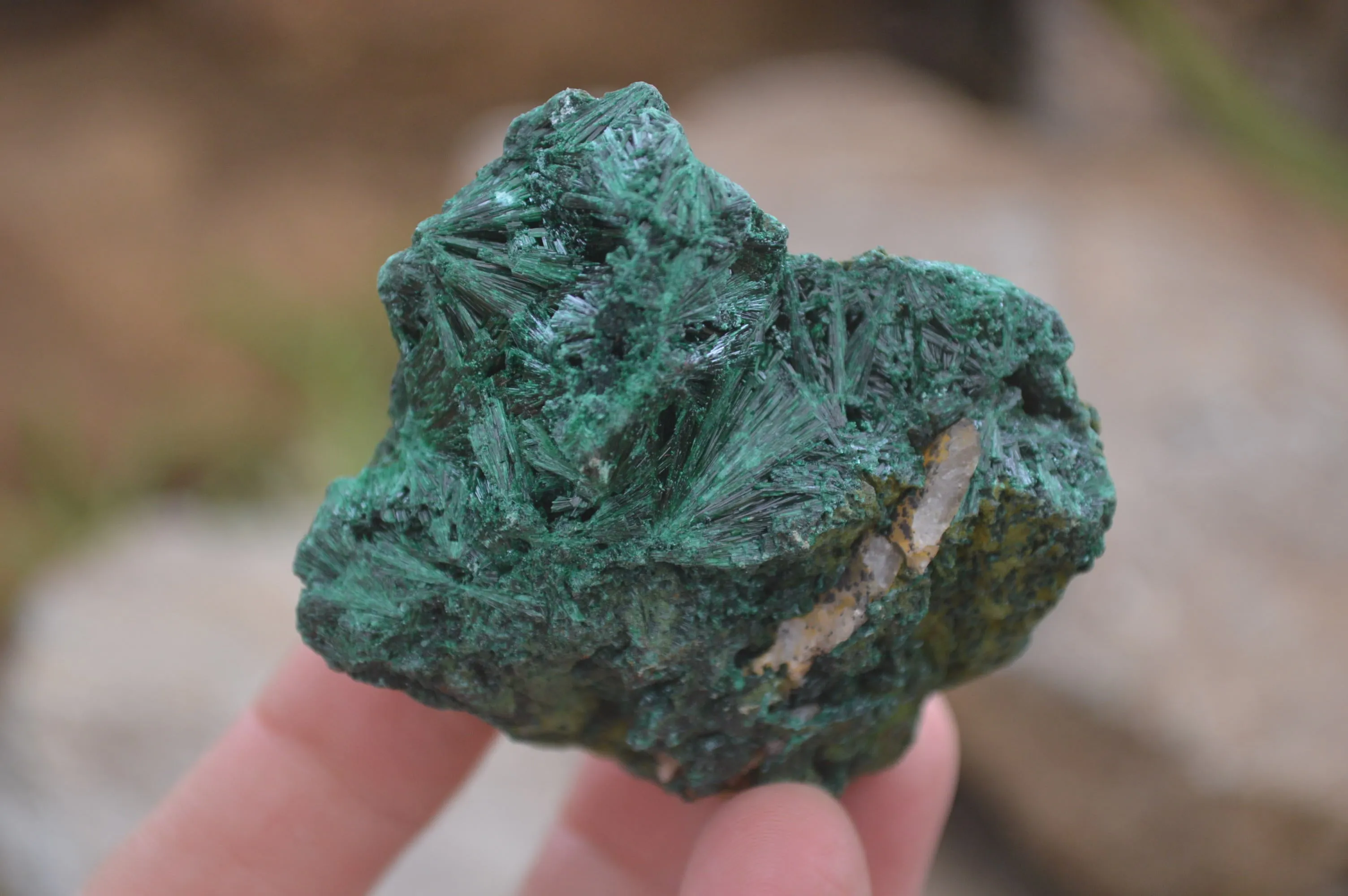 Natural Silky Malachite Specimens x 12 From Kasompe, Congo