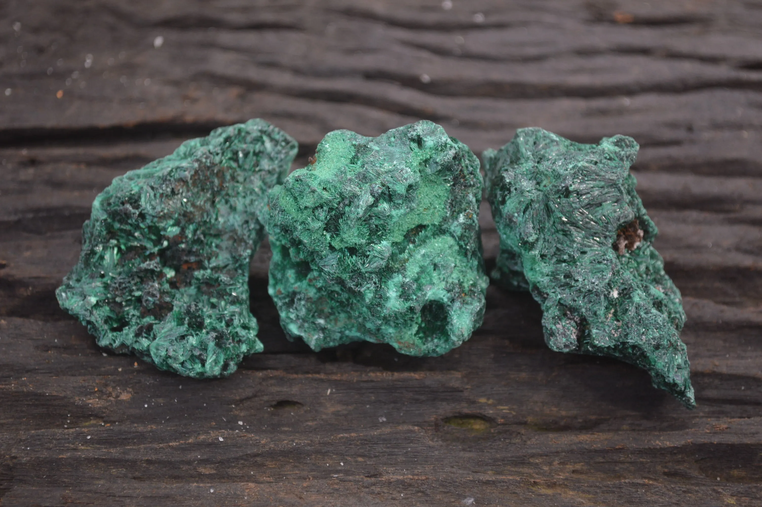 Natural Silky Malachite Specimens x 12 From Kasompe, Congo