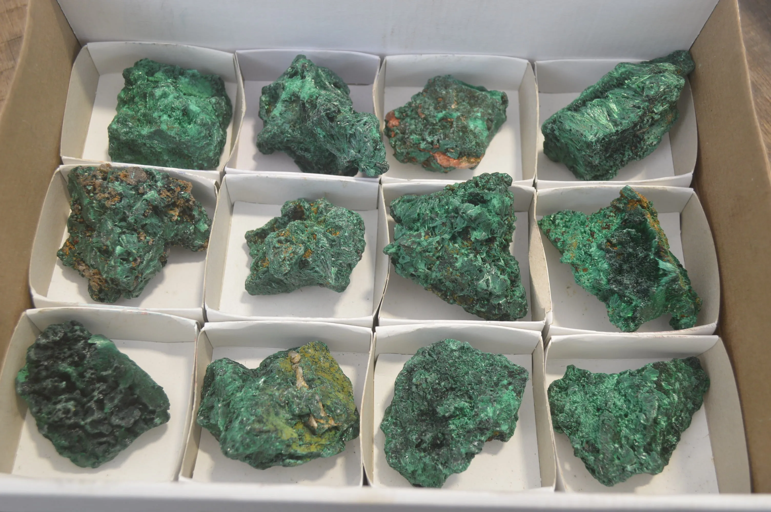 Natural Silky Malachite Specimens x 12 From Kasompe, Congo