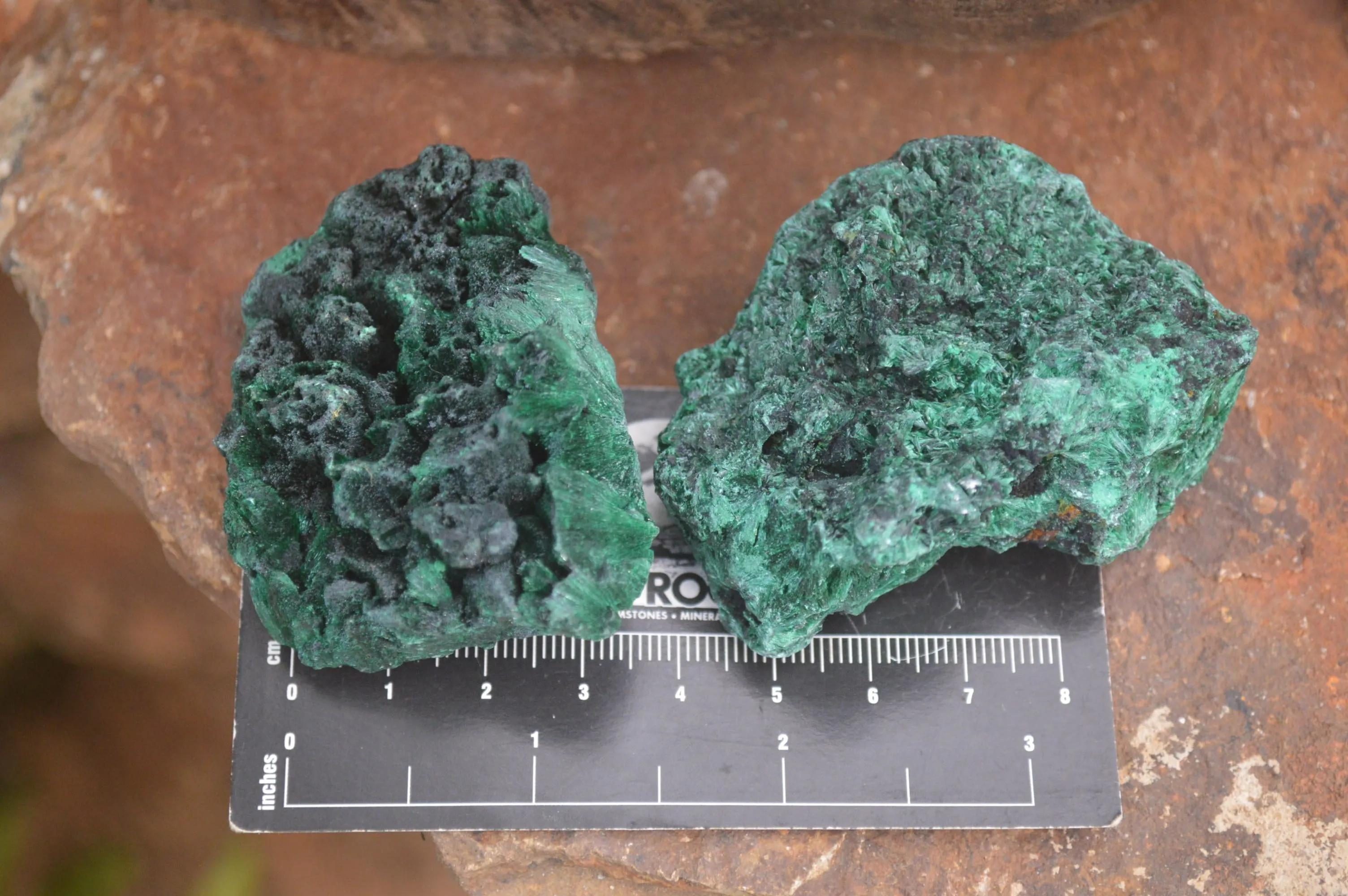 Natural Silky Malachite Specimens x 12 From Kasompe, Congo