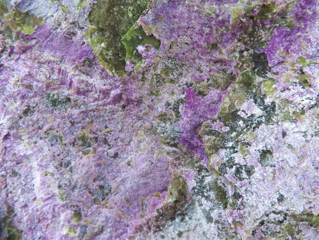 Natural Silky Purple Stichtite With Green Serpentine Specimens x 3 From Barberton, South Africa