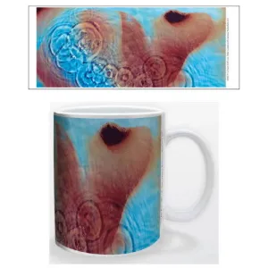 Pink Floyd Meddle: Ceramic Mug - Pyramid America