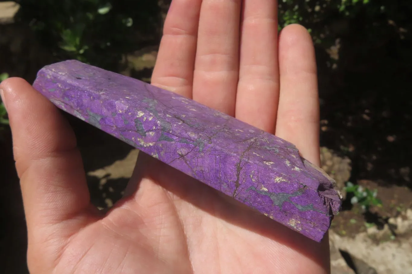 Polished On One Side Metallic Purpurite Specimens x 12 From Namibia