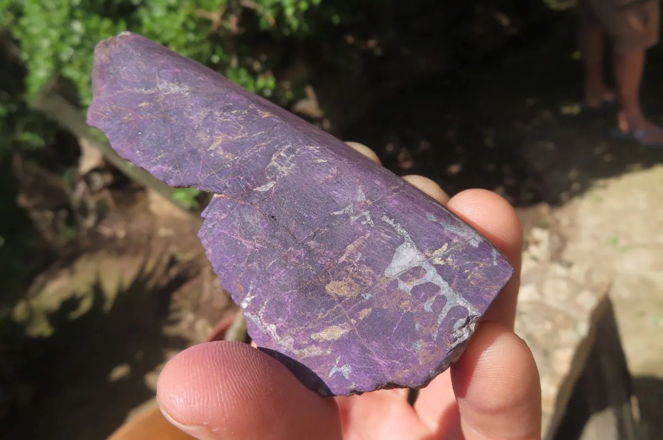 Polished On One Side Metallic Purpurite Specimens x 12 From Namibia