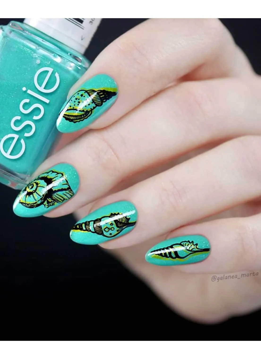 Seashells Aplenty - Uber Chic Mini Stamping Plate