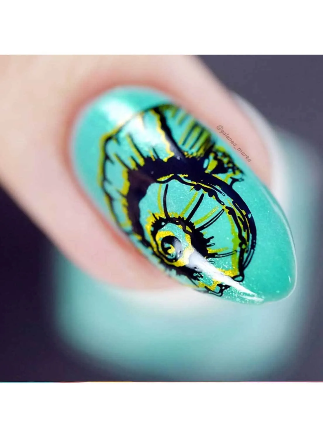 Seashells Aplenty - Uber Chic Mini Stamping Plate