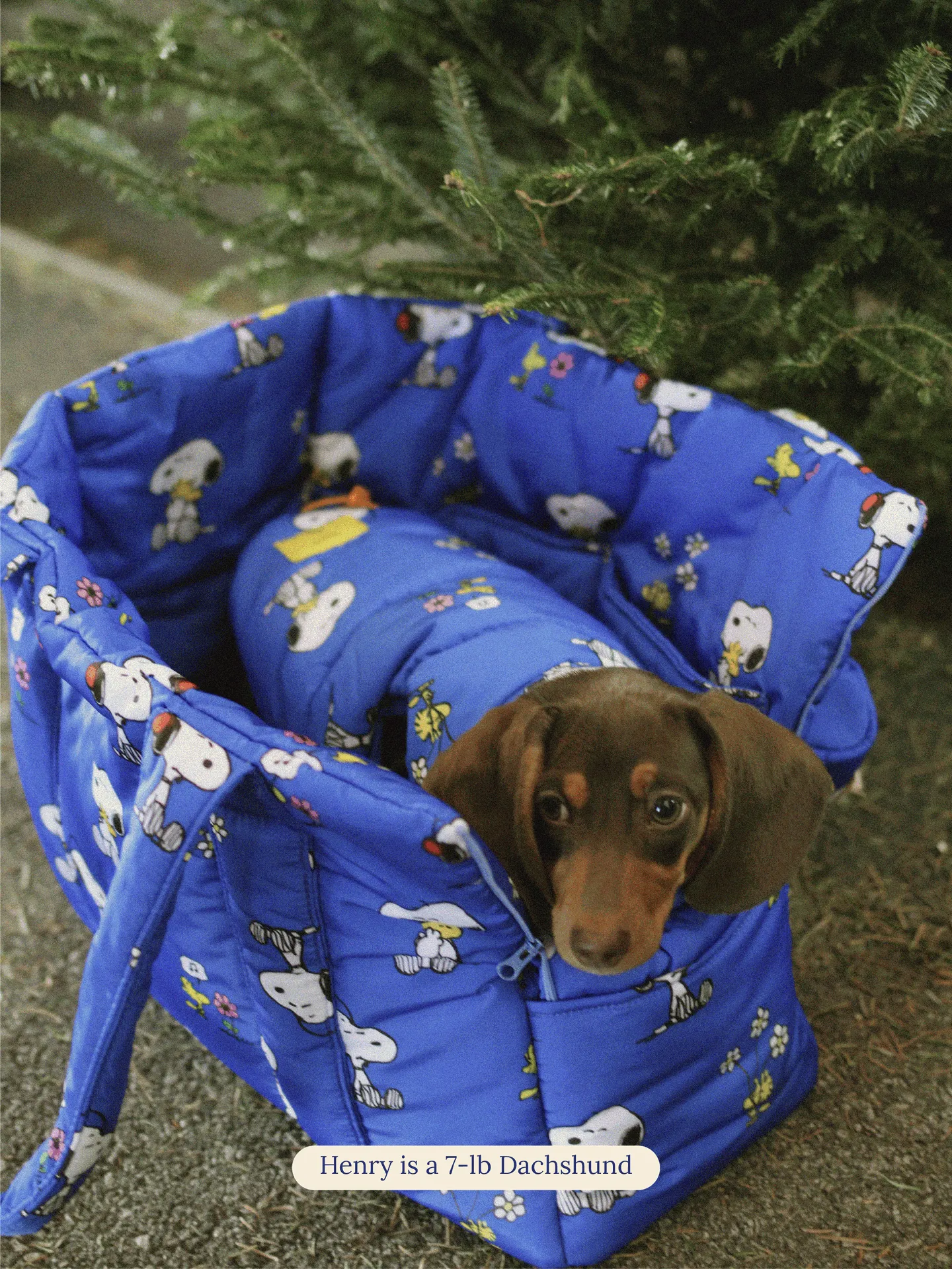 Snoopy and Woodstock Puffer Carrier - PEANUTS