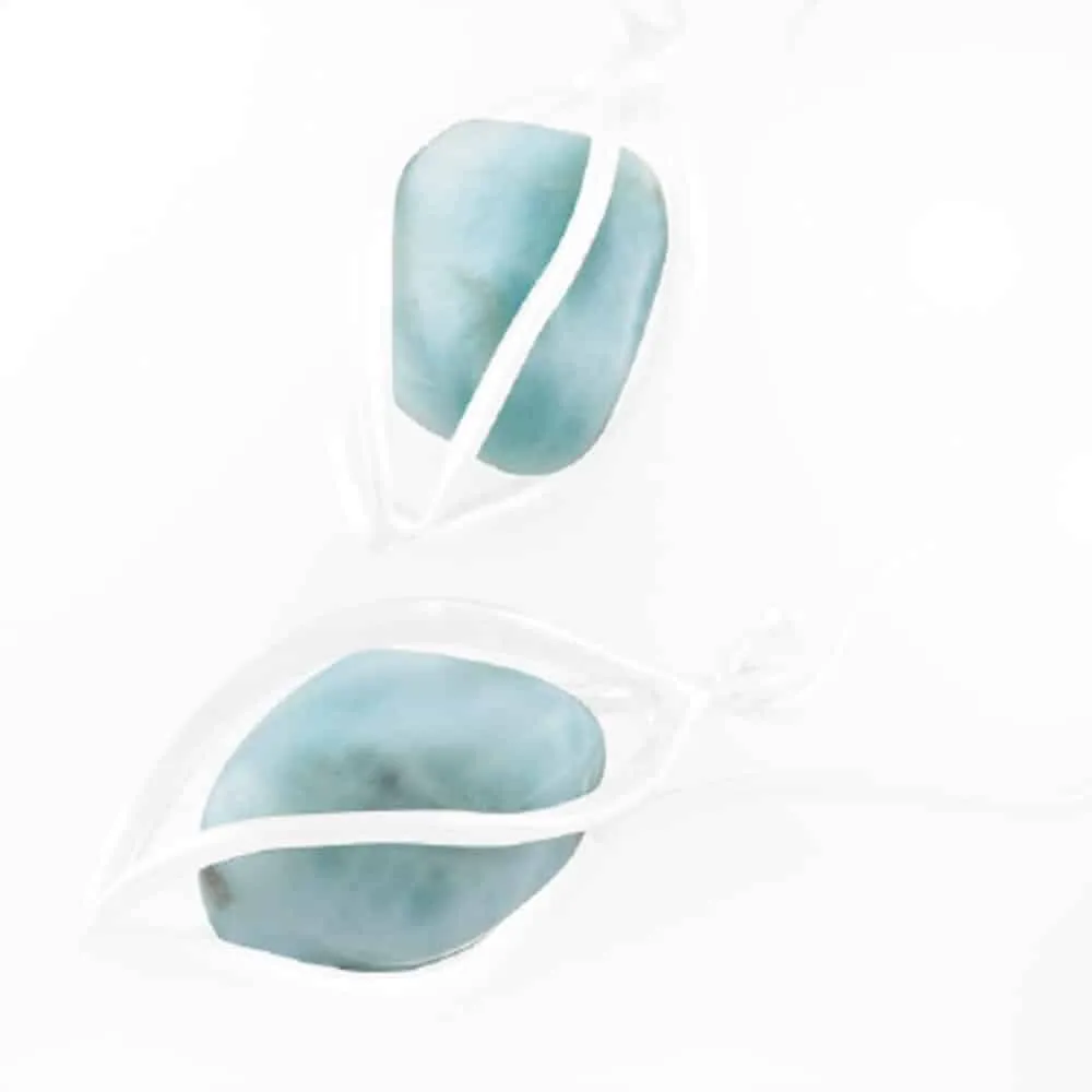 Starborn Creations Sterling Silver Caged Larimar Earrings