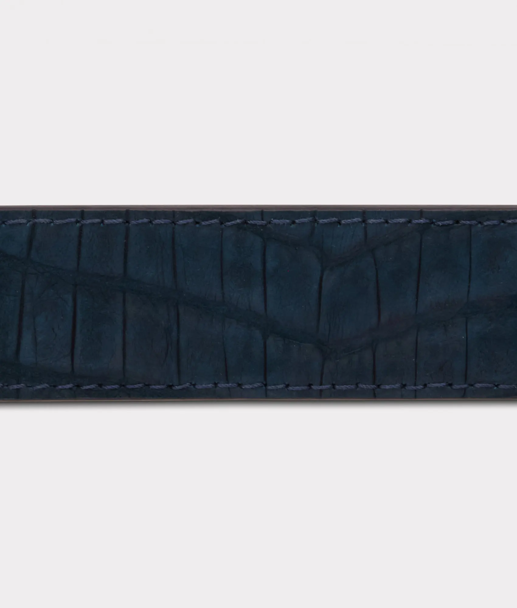 Sueded Caiman Memento Belt :: Navy