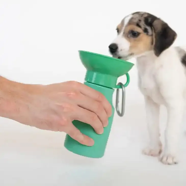 Travel Water Bottle for Dogs